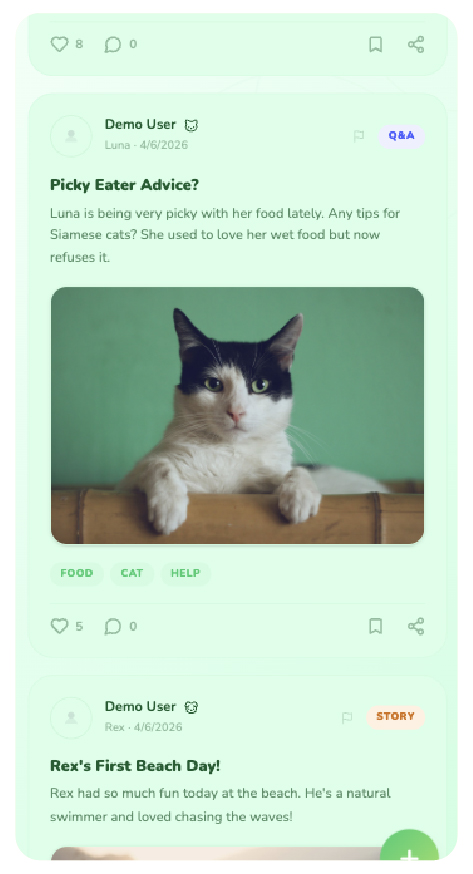 Community Feed screen